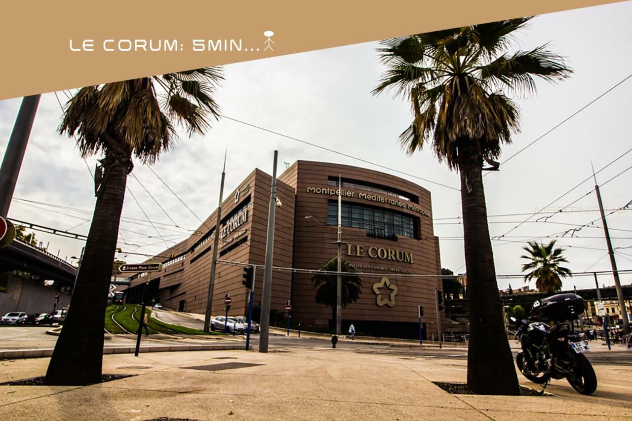 Ferienwohnung Contemporain Et Pratique - La Conciergerie Martinkey'S Montpellier Exterior foto